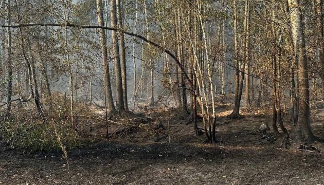 Згідно з повідомленням Міністерства екології, площа територій, що зазнали забруднення в Чорнобильській зоні, перевищила 2600 гектарів.