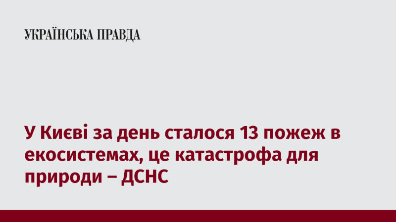 У Києві протягом доби виникло 13 випадків загорянь в природних зонах, що є серйозною катастрофою для навколишнього середовища, повідомляє ДСНС.