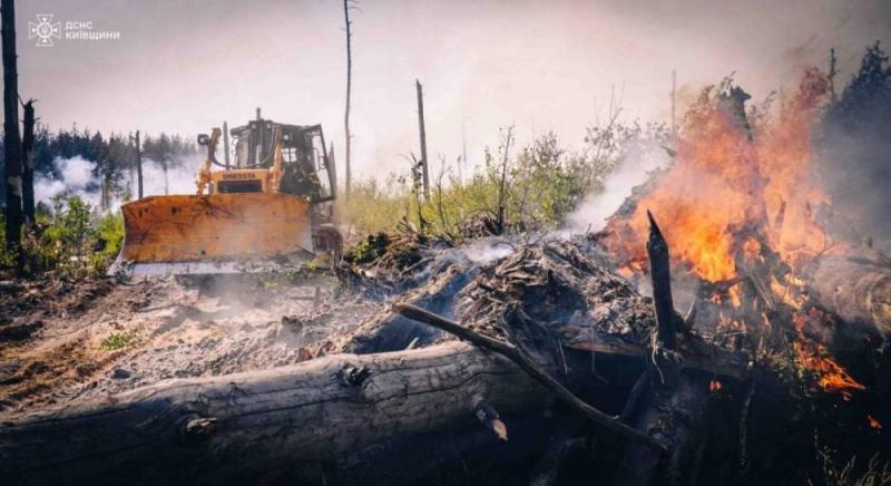 У зоні Чорнобиля спалахнула потужна пожежа (фото, відео)