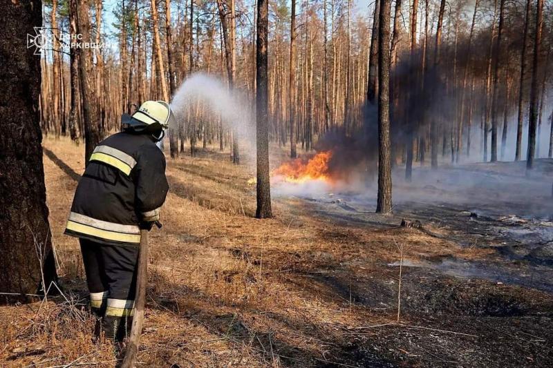 На Харківщині вже третю добу триває потужна лісова пожежа - Новини Весь Харьків.