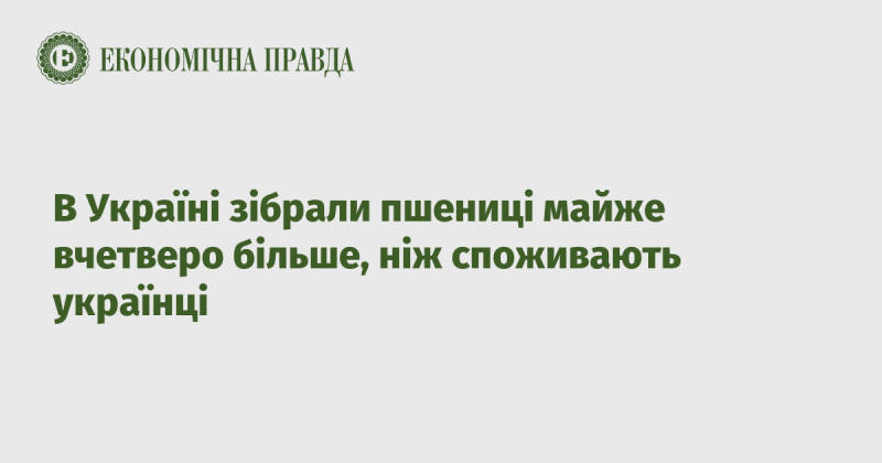 В Україні урожай пшениці виявився майже в чотири рази більшим за споживані обсяги.