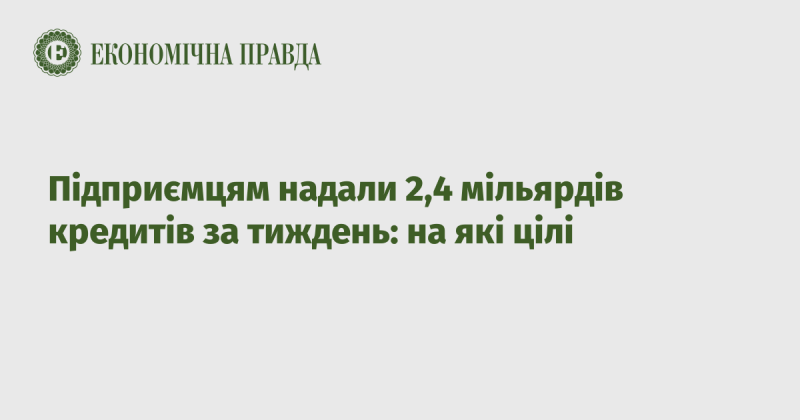 Протягом тижня підприємцям було видано кредити на загальну суму 2,4 мільярда: для яких потреб їх використають?