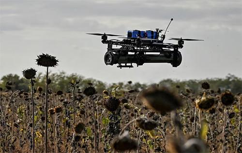 Україна розробляє численні системи штучного інтелекту для підвищення точності дронів у враженні ворожих об'єктів, - повідомляє Reuters.